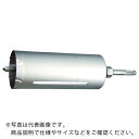 【SALE価格】サンコー オールコアドリルL150シリーズ LSタイプ SDS軸 刃径120mm ( LS-120-SDS ) サンコーテクノ(株)