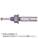 サンコー テクノ オールアンカーCーDタイプ 溶融亜鉛めっき ミリねじ M10 ( C-1060D ) 【50本セット】 サンコーテクノ(株)
