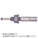 サンコー テクノ オールアンカーCーDタイプ 溶融亜鉛めっき ミリねじ M10 ( C-1080D ) 【50本セット】 サンコーテクノ(株)