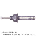 サンコー テクノ オールアンカーCーDタイプ 溶融亜鉛めっき ミリねじ M12 ( C-1260D ) 【30本セット】 サンコーテクノ(株)