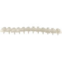 DAIDOHANT ショート連結波板ビス 12連×8本(96本入) 4.2×23mm クリア ( 00045952 ) (株)ダイドーハント