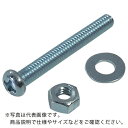 【SALE価格】DAIDOHANT HP ユニクロ 小ネジ 鍋 4X20 10本入 ( 10184167 ) (株)ダイドーハント