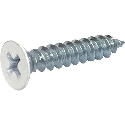 DAIDOHANT ( ダイドーハント ) タッピングねじ 頭白 木・薄鉄板用4.5mm×25mm(8本) ( 65775 )