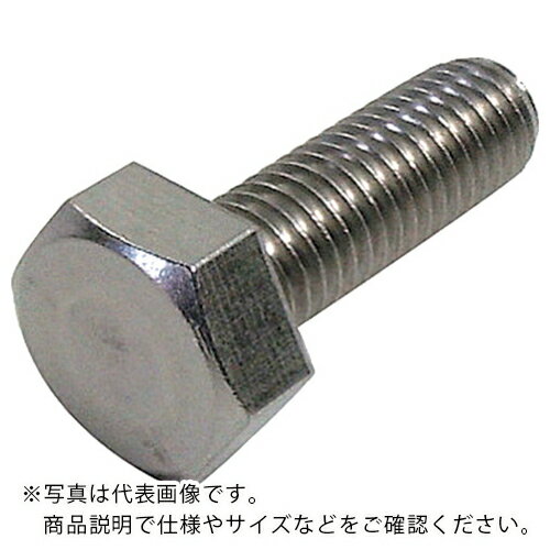 DAIDOHANT HP ステンレス六角ボルト 6X30 2本入 ( 10184564 ) (株)ダイドーハント