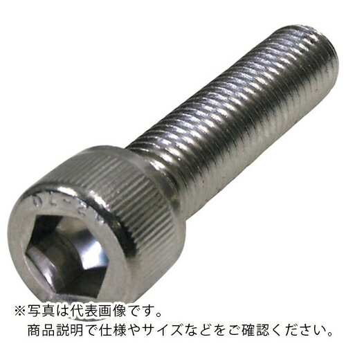 DAIDOHANT HP ステンレス六角穴付ボルト 8×25 2本入 ( 10184620 ) (株)ダイドーハント
