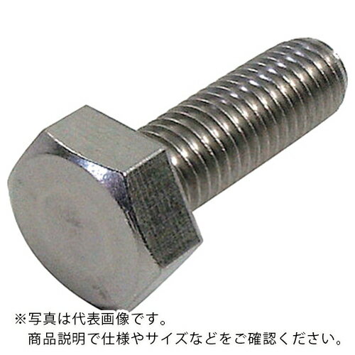 【SALE価格】DAIDOHANT HP ステンレス六角ボルト 6X15 2本入 ( 10186490 ) (株)ダイドーハント