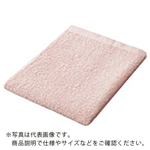 JTX 365355)ܤ꥿10 ԥ ( N109J-PK ) ץ饹() ڥ᡼