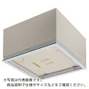 DAIKEN 天井点検口シーリングハッチ 気密断熱タイプ3型ホワイト 400×515 ( CXDW324 ) (株)ダイケン 【メーカー取寄】