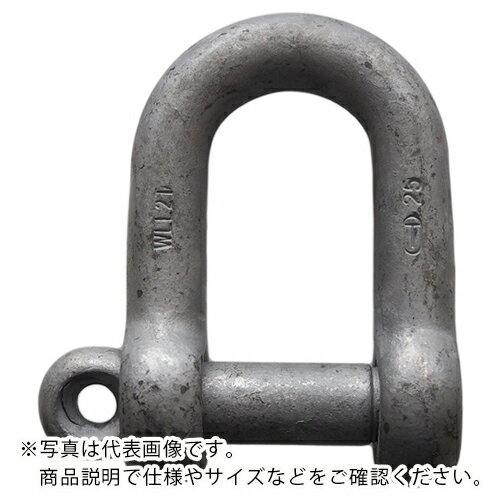 乐天商城 - TAIYO ( 大洋製器工業 ) 捻込シャックル ドブ 22MM(3013170) ( NGS22G )