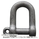 【SALE価格】TAIYO 捻込シャックル ドブ 8MM(3008761) ( NGS8G ) 大洋製器工業(株)