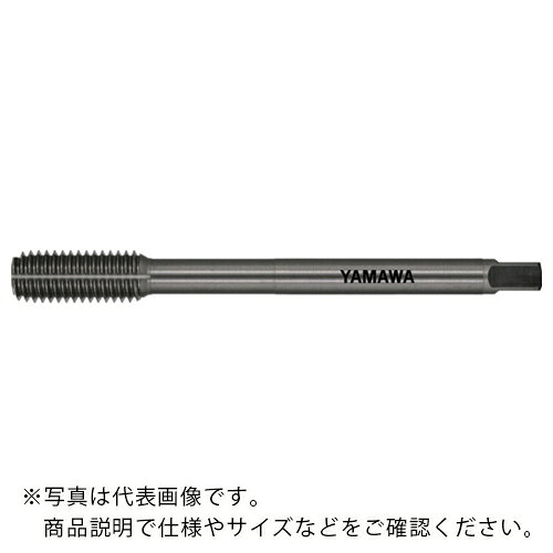 ޥ Ŵѥ륿å LS-N-RS L100 G7 M6X1 B ( LS-N-RS-F-G7-100-M6X1-B ) ()