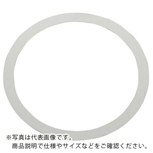 IWATA シムリングSUS (10枚入)T0.1 ( RS007010010 ) (株)岩田製作所 【メーカー取寄】