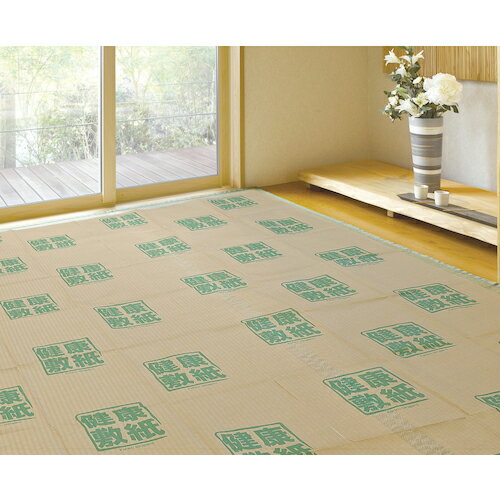 楽天Orange Tool Tokiwa大島屋 防ダニ床保護シート 健康敷紙 3帖用 208x101cm 2枚入り （ 227364 ） （株）大島屋