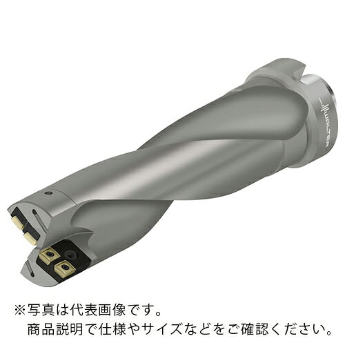 Walter ( ワルター ) カートリッジ仕様チップ交換式ドリル ( D4170-03-80.00N8-P45 )