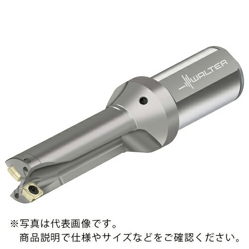 Walter ( ワルター ) チップ交換式ドリル D3120 ( D3120-03-32.00F32-P24 ) 【メーカー取寄】