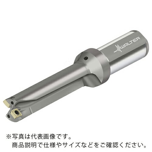 Walter チップ交換式ドリル D3120 ( D3120-04-19.00F25-P21 ) ワルタージャパン(株) 【メーカー取寄】