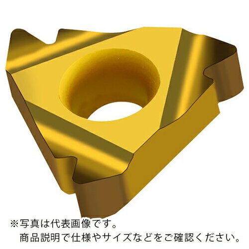 Walter おねじ旋削チップ 完全プロファイル米国 UN 60° NTS WXM20 ( NTS-ER-16 008UN WXM20 ) 【10個セット】 ワルタージャパン(株) 【メーカー取寄】