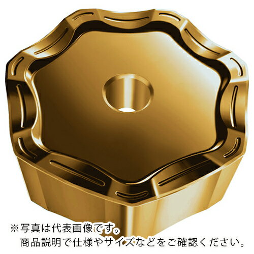 Walter ミーリング加工用 七角形ネガチップ WAK15 ( XNHF070508-D67 WAK15 ) 【10個セット】 ワルタージャパン(株) 【メーカー取寄】