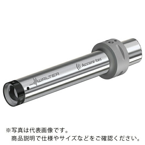ワルター Walter Capto TM アダプター ビビり抑制 A3000-C ( A3000-C6-Q25-230 ) ワルタージャパン(株) ( BFDFH )