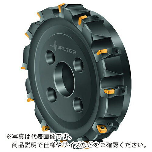乐天商城 - ワルター 高送りカッター ( F2010.B.315.Z14.08.R755M )