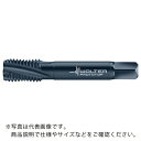 Prototyp HSS-E マシンタップ ( A22456S-UNC3/4 ) ワルタージャパン(株) ( BCYGV )(4)
