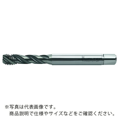 Prototyp ( ワルタージャパン ) HSS-E (-PM) マシンタップ ( TC121-M5-C0-WY80BD ) 