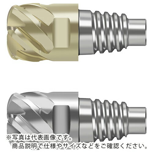 ��SALE���ʡ�Prototyp Ķ�Ź����ꥨ��ɥߥ� ( MD025-10.0E5P150-WJ30RD ) ��륿������ѥ�(��) ( BETTY )