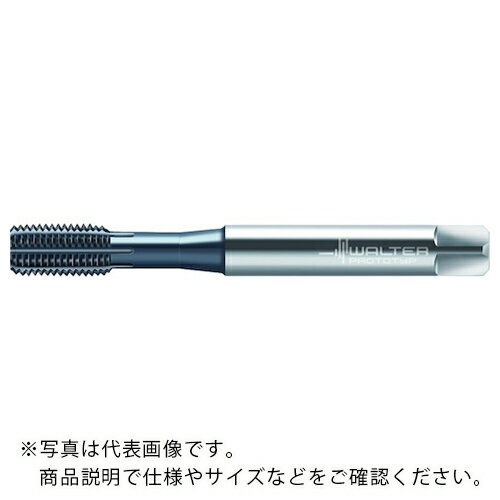乐天商城 - Prototyp ( ワルタージャパン ) HSS-E-PM- 転造タップ ( TC420-M2.5-C6-WW60BA ) ワルタージャパン(株) 【メーカー取寄】
