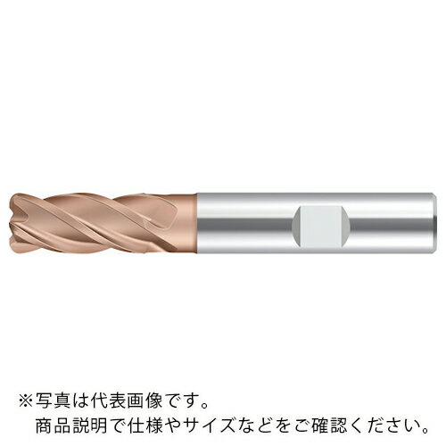 Prototyp 超硬エンドミル ( MC232-10.0W4B080C-WJ30ED ) ワルタージャパン(株) ( BEUZJ )