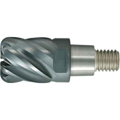 ɩ åɥɥߥ 饸  6  դ úǹ ƥ쥹  Ǯ ꡼ üR EP7020 ( IMX25C6HV250R10025C EP7020 ) ɩޥƥꥢ() ڥ᡼