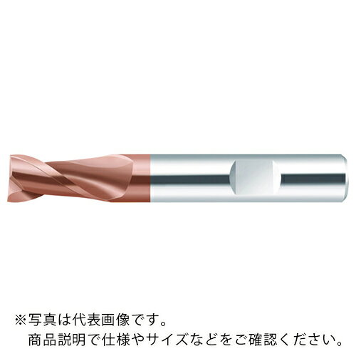 Prototyp ( ワルタージャパン ) 超硬エンドミル Performライン20mm ( ME232-20.0W2B-WJ30ED )