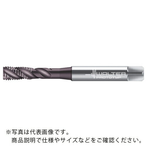 ��SALE���ʡ�Prototyp �ޥ��󥿥å� ( AEP2356312-UNF3/4 )