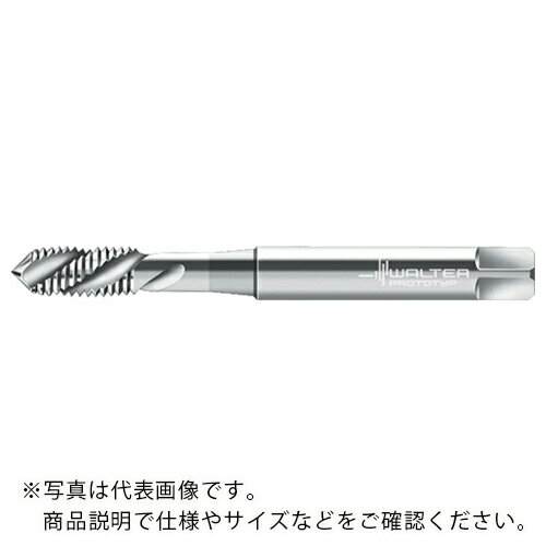 ��SALE���ʡ�Prototyp �ޥ��󥿥å� ( P205198-M6 ) ��륿������ѥ�(��) ( BDASU )