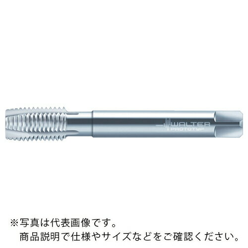 Prototyp マシンタップ ( P212608-M16X1.5 ) ワルタージャパン(株) ( BDAYQ )