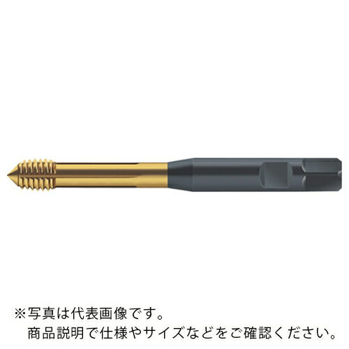 【SALE価格】Prototyp 転造タップ ( S2166305-M10X1 )