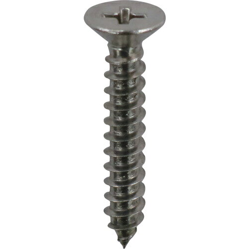 DAIDOHANT ( ダイドーハント ) ステンレス タッピングねじ 皿頭 3.5×12mm 約104本入 ( 00080508 ) 【6Pkセット】