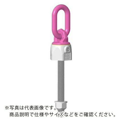 RUD バリオリングロングボルトタイプ VWBG M24L ( VWBG-M24L ) (株)ルッドスパンセットジャパン