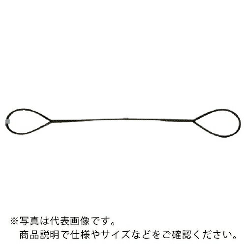 NIKKO 台付けワイヤー スリング径12mm 全長2.5m ( D12-25 ) 日興製綱(株)