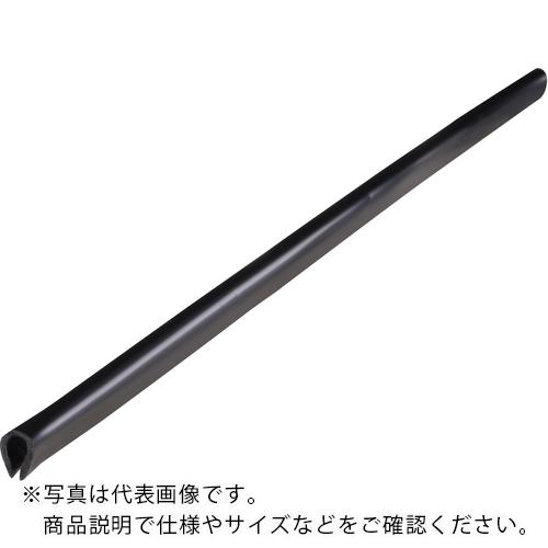 IWATA å TEB꡼ 10M ( TEB320-L10 ) ()