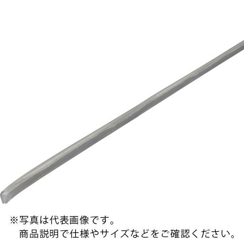 IWATA å TEP꡼ 13M ( TEP320-L13 ) ()