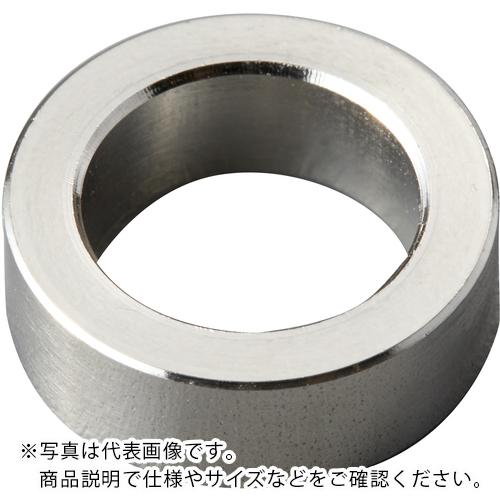 IWATA ( ��������� ) ��å��㡼 SUS304 ( WS1604-1 ) �ڥ᡼��������