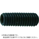 TRUSCO 六角穴付止めねじ 平先 黒染め M3×4 80本入 ( B63-0304 ) トラスコ中山(株)
