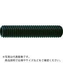 TRUSCO 六角穴付止めねじ 平先 黒染め M6×20 50本入 ( B63-0620 ) トラスコ中山(株)