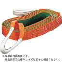 TRUSCO ベルトスリング JIS3等級 両端アイ形 50mmX3.0m ( G50-30 (50MMX3.0M) ) トラスコ中山(株)