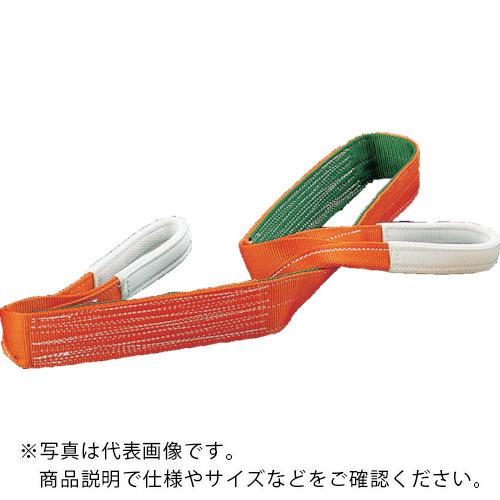 TRUSCO ベルトスリング JIS3等級 両端アイ形 100mmX5.0m ( G100-50 (100MMX5.0M) ) トラスコ中山(株)