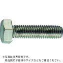 TRUSCO 六角ボルト ステンレス 全ネジ M20×45 2個入 ( B23-2045 ) トラスコ中山(株)