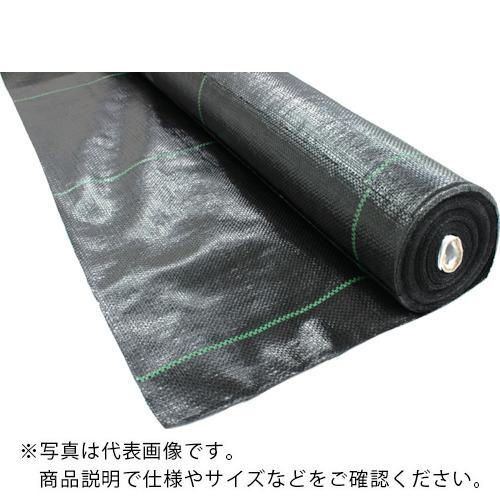 TRUSCO 𥷡 Ѹ1ǯ  2mx50m ( TBO1-2050-BK ) ȥ饹滳()