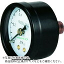 TRUSCO 圧力計 表示板径Φ40 埋込型口径R1/8表示 ( TP-G40 (1/8) ) トラスコ中山(株)
