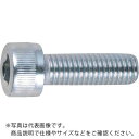 TRUSCO 六角穴付ボルト 三価白 全ネジ M5×12 34本入 /キャップボルト(CAP) ( B730-0512 ) トラスコ中山(株)