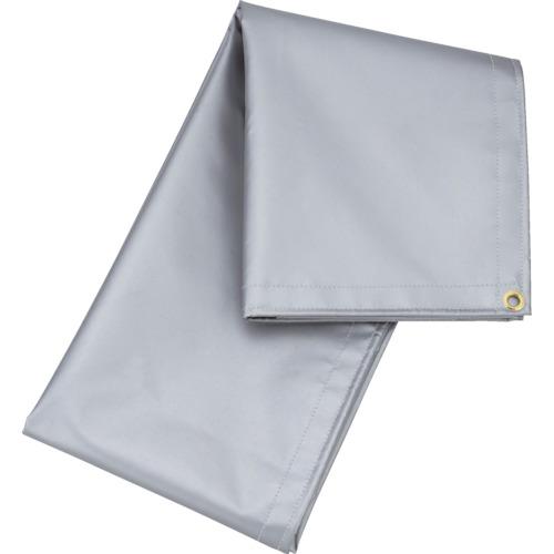 TRUSCO ���ѥå������ȥ����ѡ� 2�� ( TSP-2SP ) �ȥ饹���滳(��)